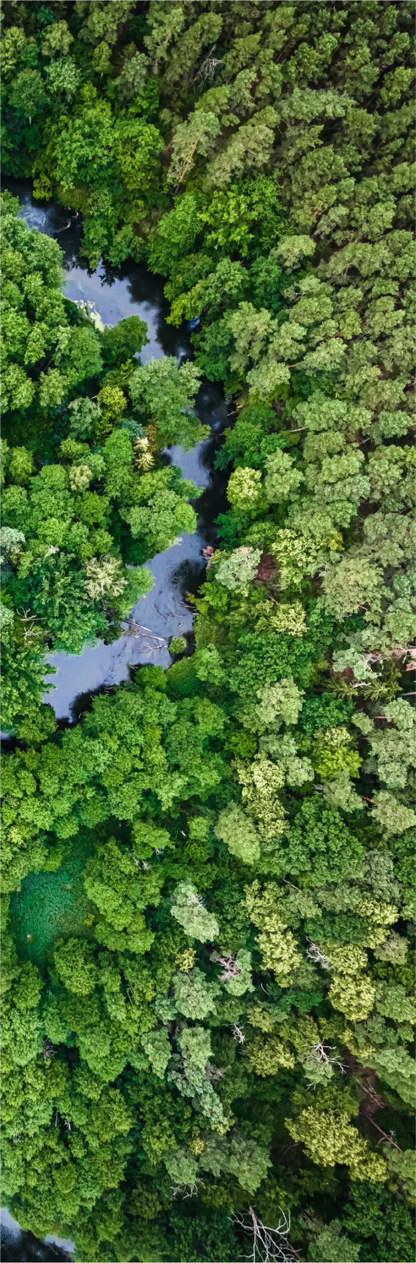 Left Container Image